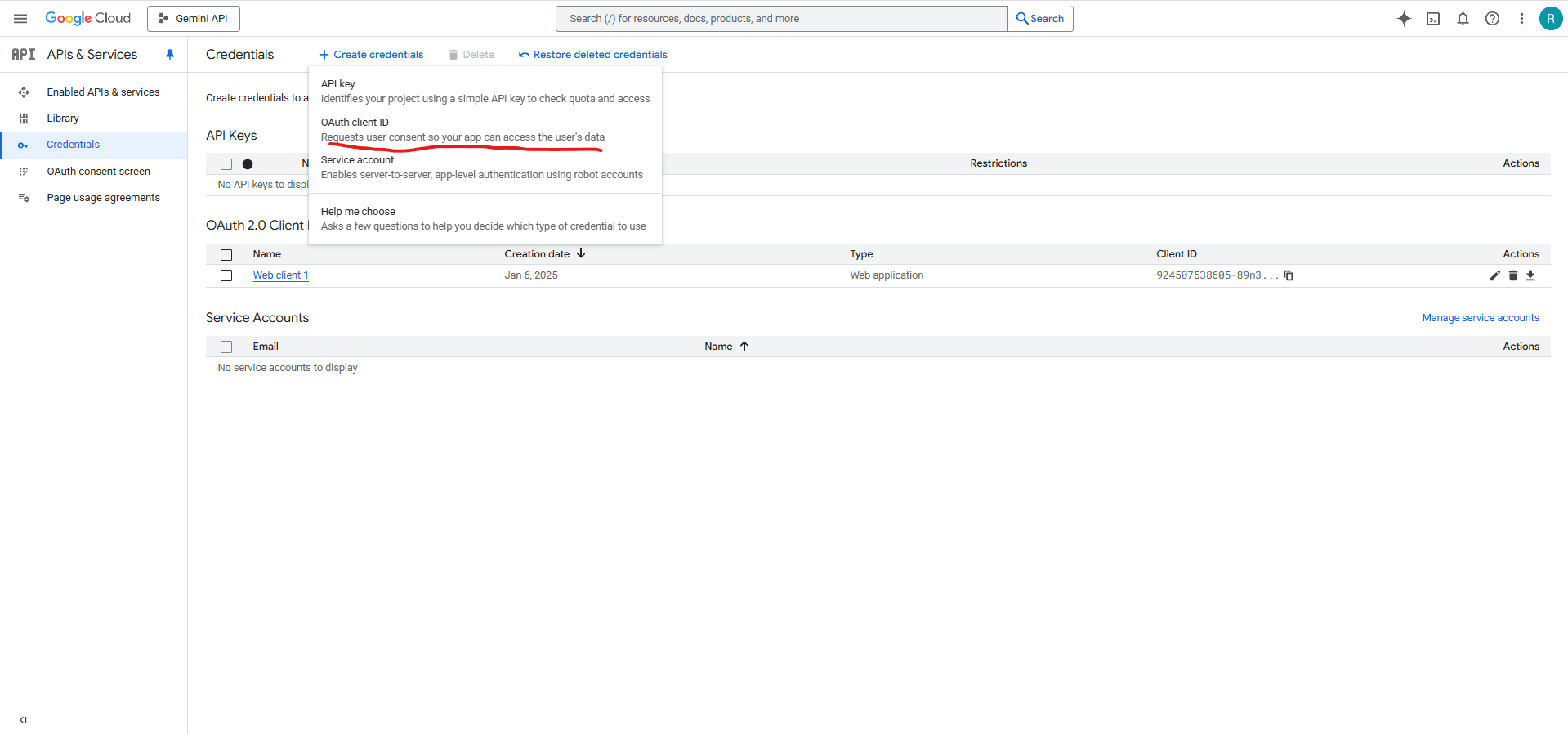 Google Developer Console OAuth client ID